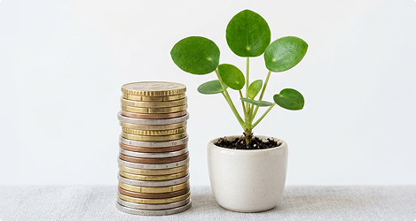 お金を増やしたい