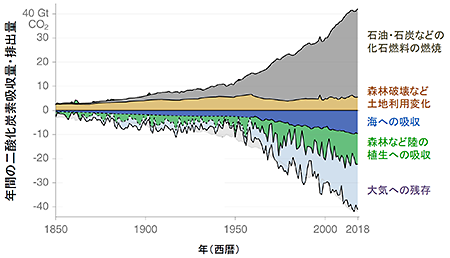 年間の二酸化炭素吸収量・排出量