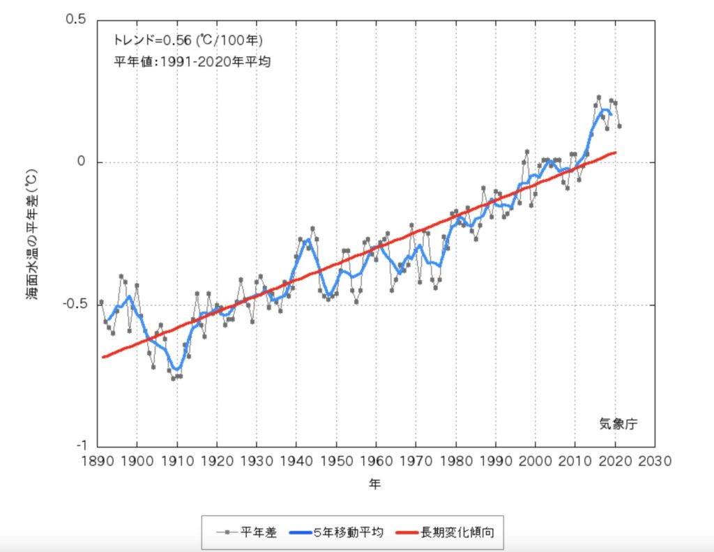 海面水温の長期変化傾向