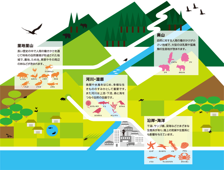 日本の自然環境と生き物のつながり