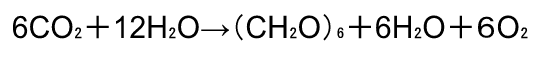 光合成の化学式
