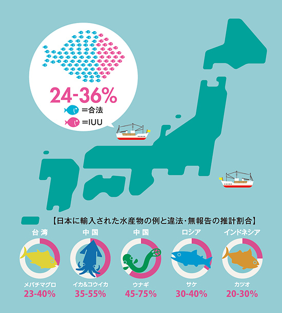 日本に輸入された水産物の例と違法・無報告の推計割合