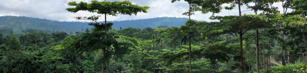 IUCN『Promoting Biodiversity Net Gain in the Eastern Region of Ghana』（2023年1月）