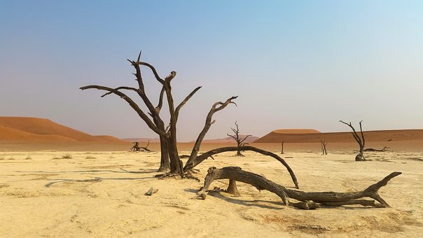 ナミビアの砂漠