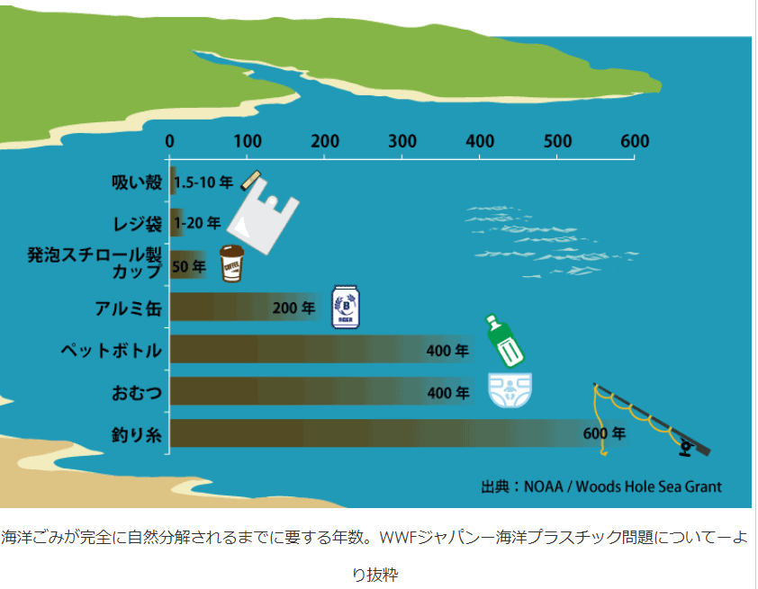 【海ごみレポート１】海洋プラスチックごみ、その厳しい汚染の現実 | 海と日本PROJECT in ふくしま