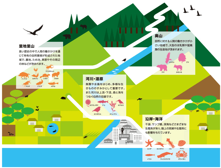 出典：環境省『日本の自然環境と生きもののつながり　－生態系の多様性』