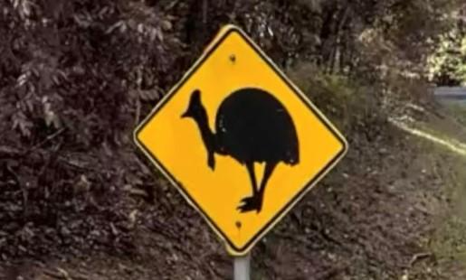 オーストラリアの自然