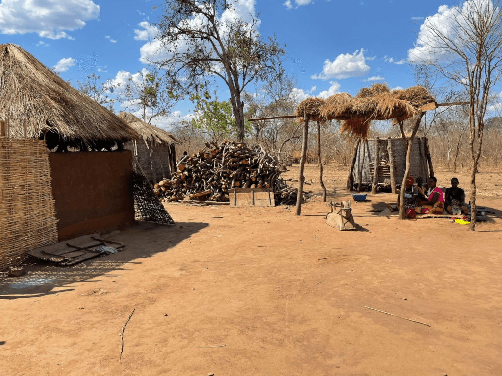 《ザンビアの農村》