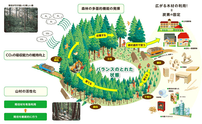 日本の林業の現状