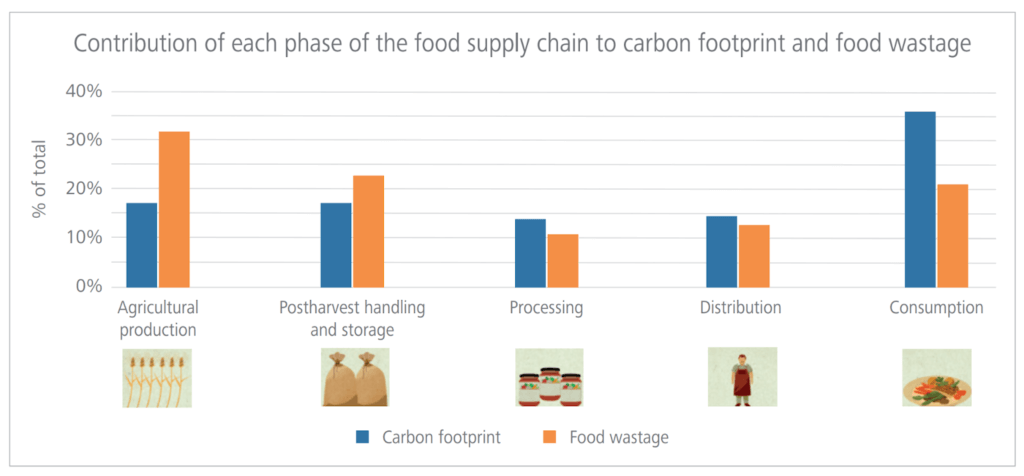 、FAO（国際連合食糧農業機関）が示す「過程別の二酸化炭素排出量」