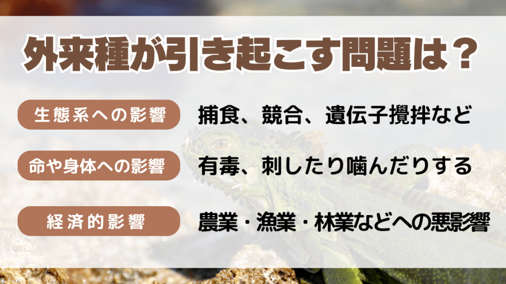 外来種とは