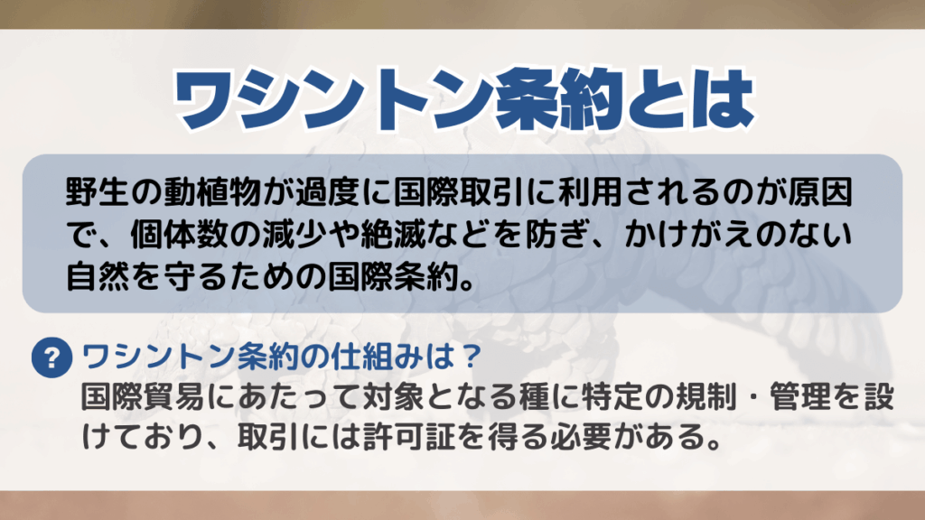 ワシントン条約とは