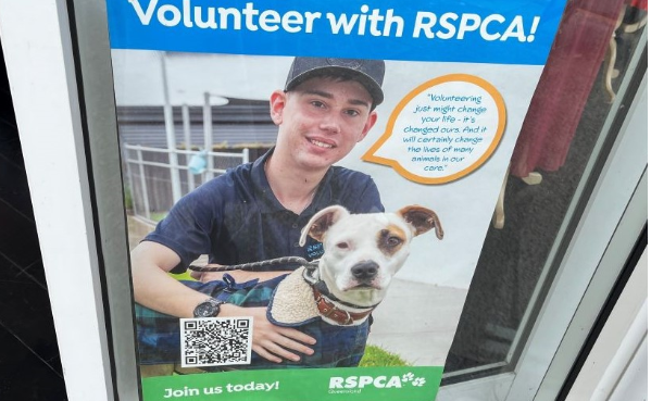 オーストラリアの動物保護団体RSPCAのボランティア