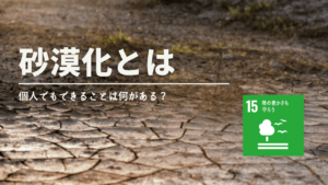 砂漠化とは？砂漠の名前やオアシスがなぜできるのかを解説！植物や動物への影響や砂漠の種類も紹介 - Spaceship Earth（スペース