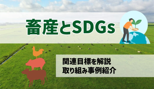畜産問題とSDGsの関係｜牛のゲップが環境問題の原因？日本の取り組みを解説