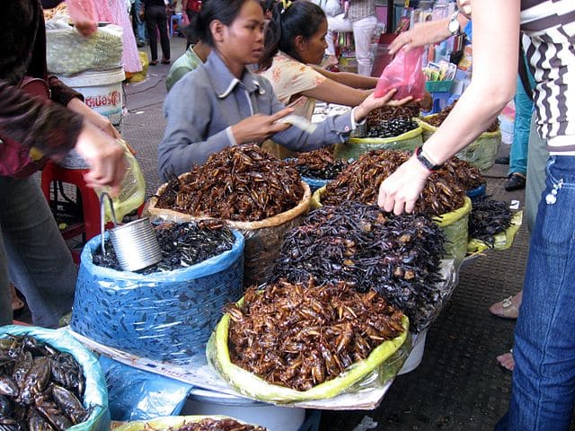 【カンボジアの市場で売られる昆虫の揚げ物】
