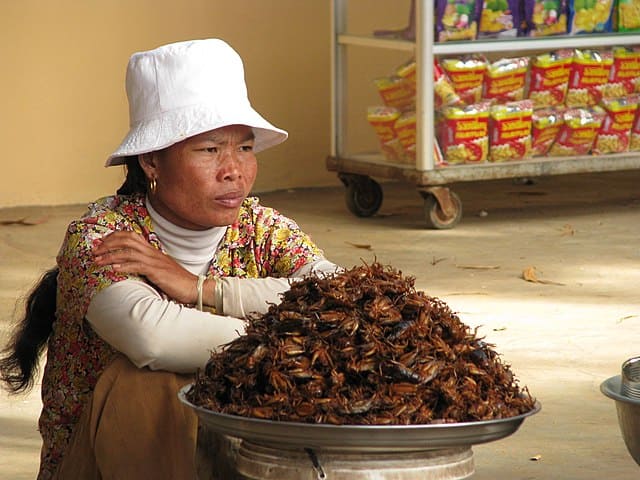 【バス停で持ち歩き用に売られている昆虫食：カンボジア】