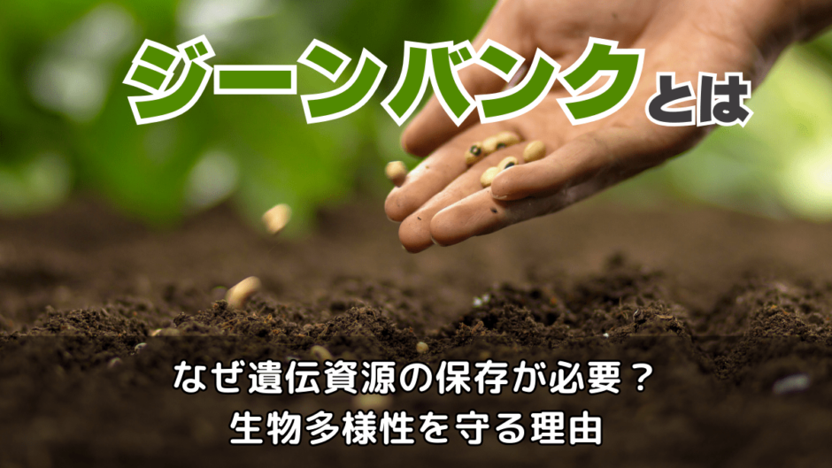 ジーンバンクとは