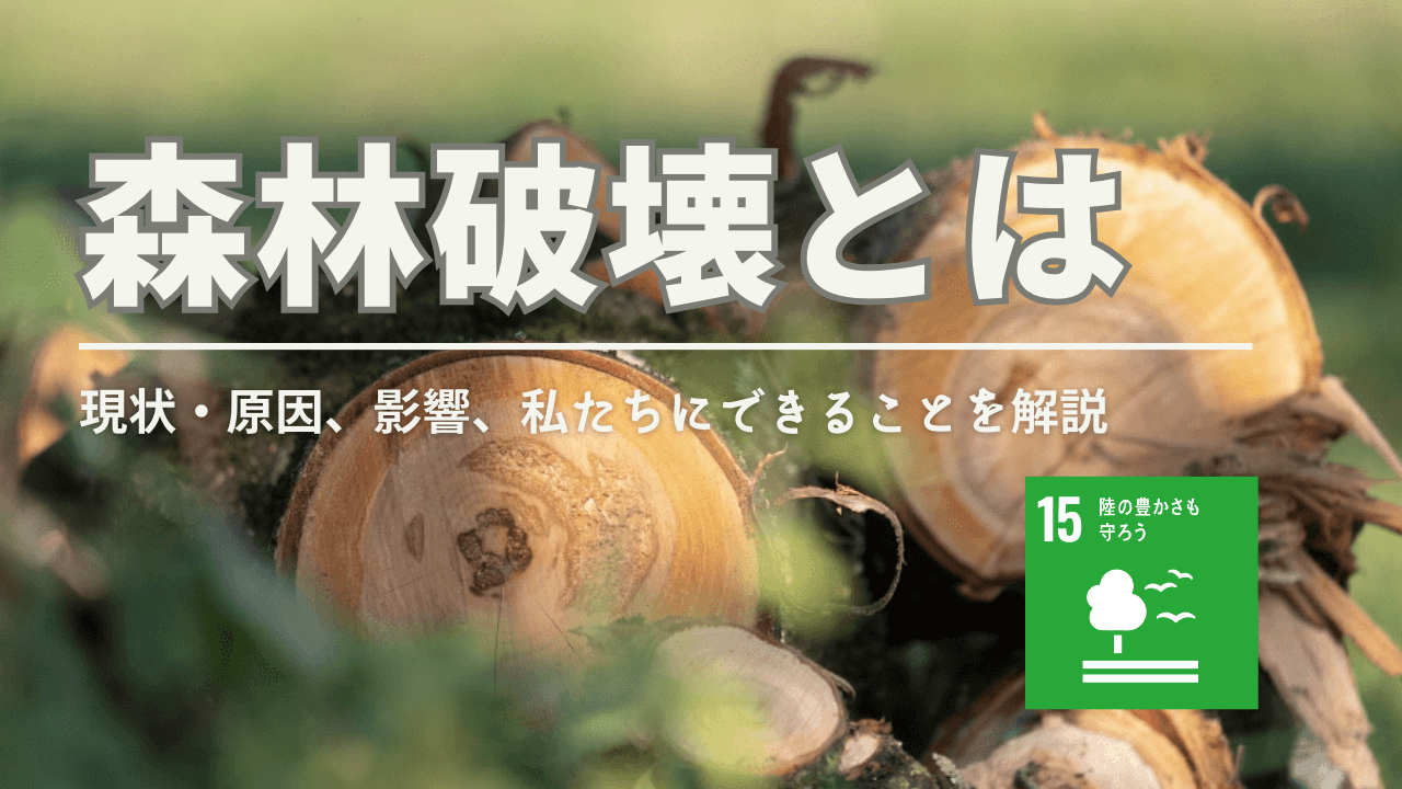 森林破壊の対策とは？原因と日本・世界の現状についても紹介！影響や私たちにできることも徹底解説！ - Spaceship  Earth（スペースシップ・アース）｜SDGs・ESGの取り組み事例から私たちにできる情報をすべての人に提供するメディア