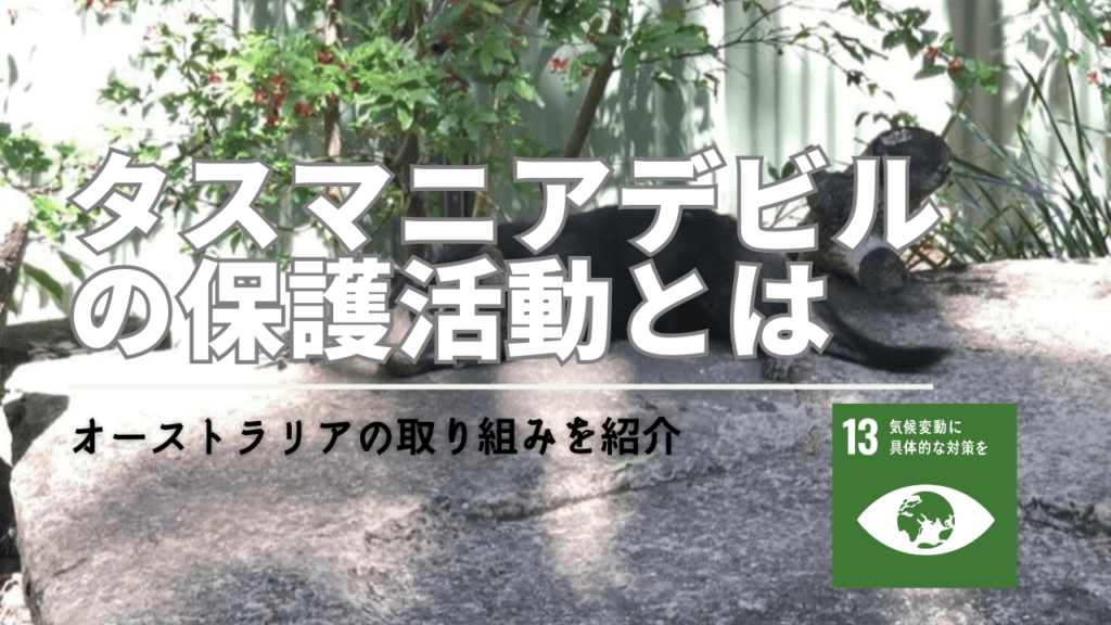 海洋汚染とは-1-1-1024x576.png
