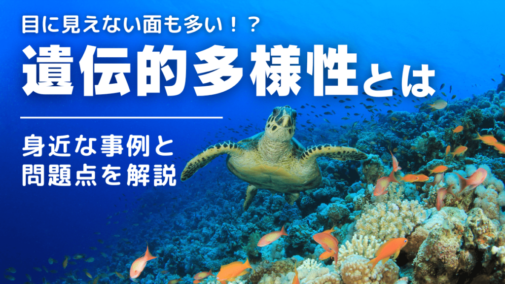 ethical-01-1024x576.png