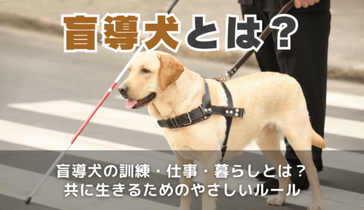 盲導犬とは