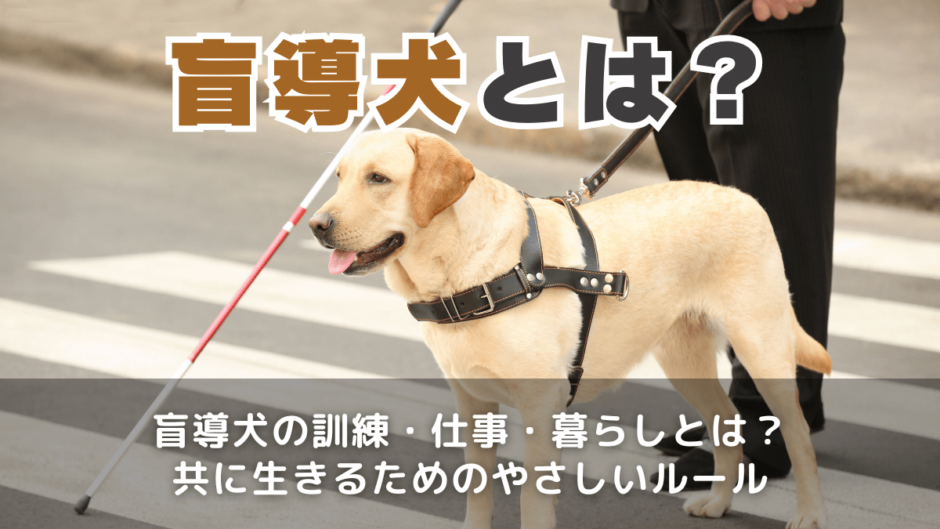 盲導犬とは