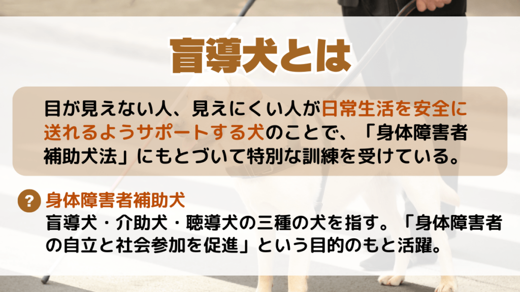 盲導犬とは