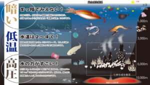 2026年、なぜ私たちは「ゆるい深海魚」に救いを求めるのか？SNSで爆発的ヒットを記録する海のキャラクターたち
