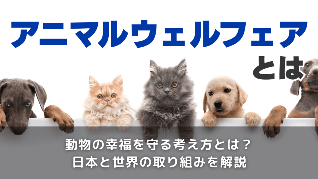 動物への配慮の科学―アニマルウェルフェアをめざして 動物への配慮の科学: アニマルウェルフェアをめざして | Michael