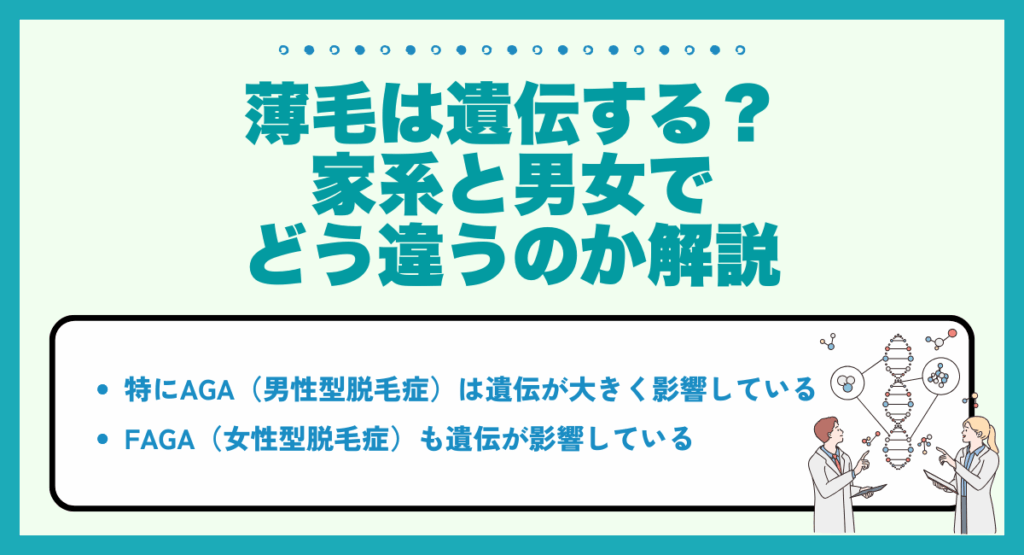 薄毛は遺伝する？家系と男女でどう違うのか解説
