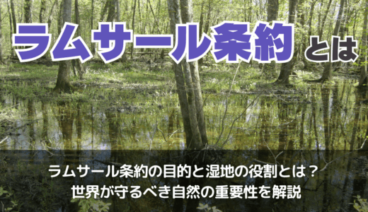 ラムサール条約とは