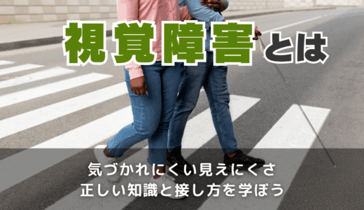 視覚障害とは