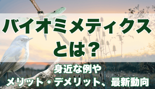 バイオミメティクスとは