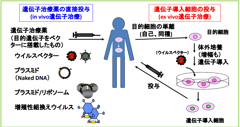 出典：内閣府『ゲノム編集技術等について』