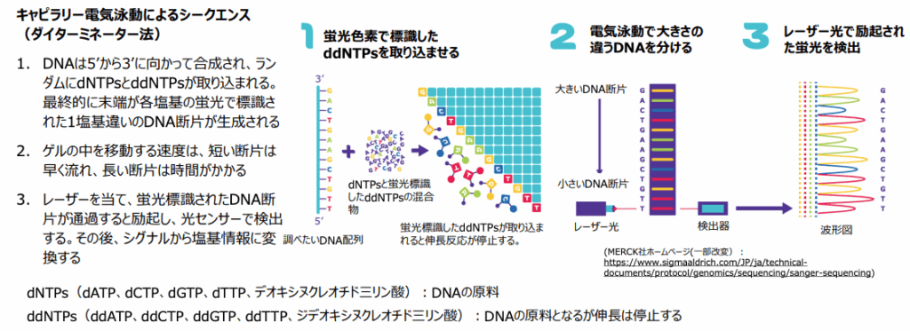 出典：厚生労働省『がんの全ゲノム解析』（2024年）